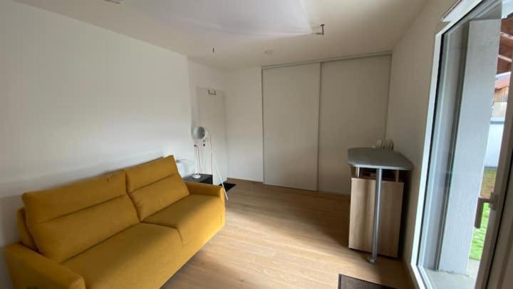 Chens-sur-Leman Magnifique Studio Avec Terrasse Et Garage 아파트 외부 사진